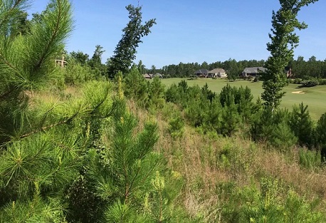 Twin Pond Estates at Woodside Homesite