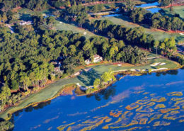 conservancy