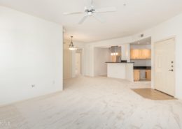 20801 N 90th Place Unit 229