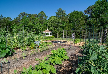 Winding River Plantation NC