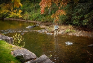 Burlingame Country Club Private Sporting Club Sapphaire NC Golf