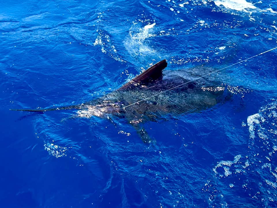 fishing charter
