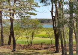 view to 7th fairway 15 tamarack