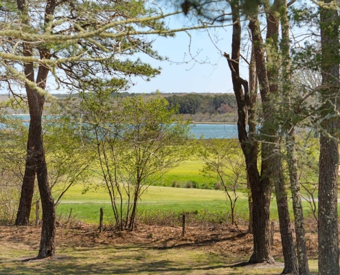 view to 7th fairway 15 tamarack