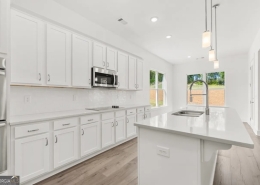 Traditions of Braselton GA 15 Overview Court