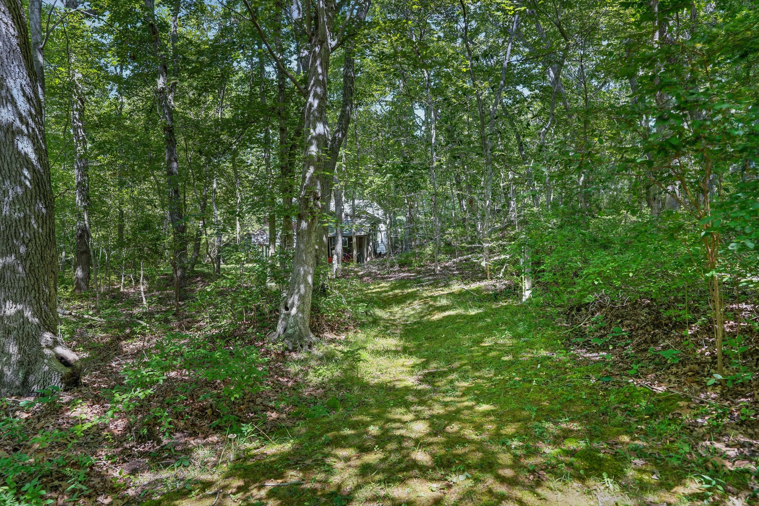 220 north rd chilmark ma 02535
