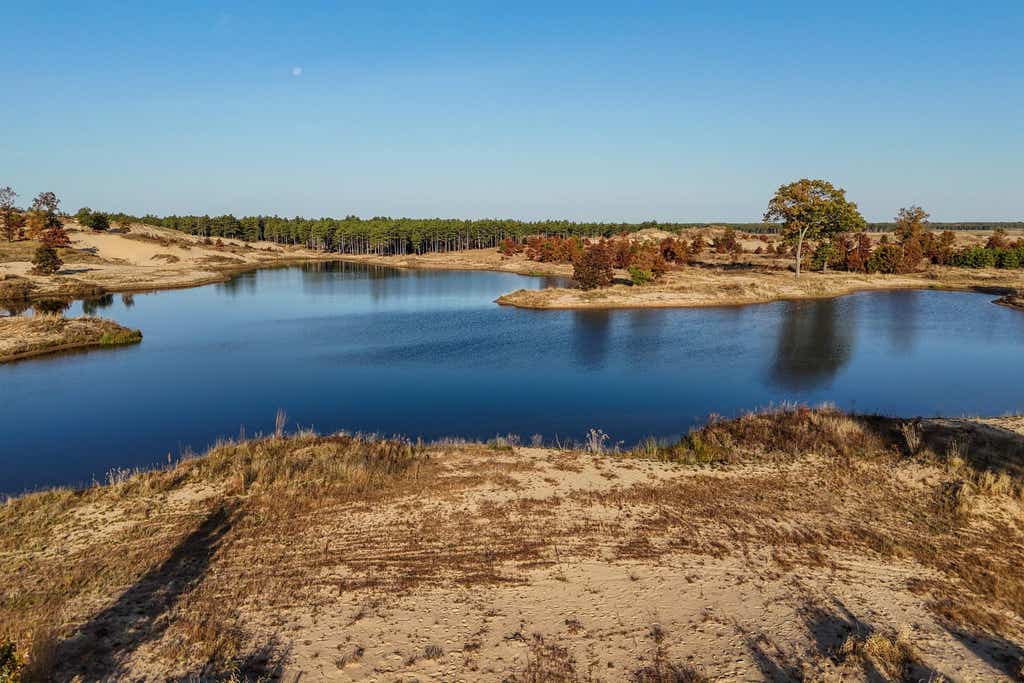 Mammoth Conservancy auction
